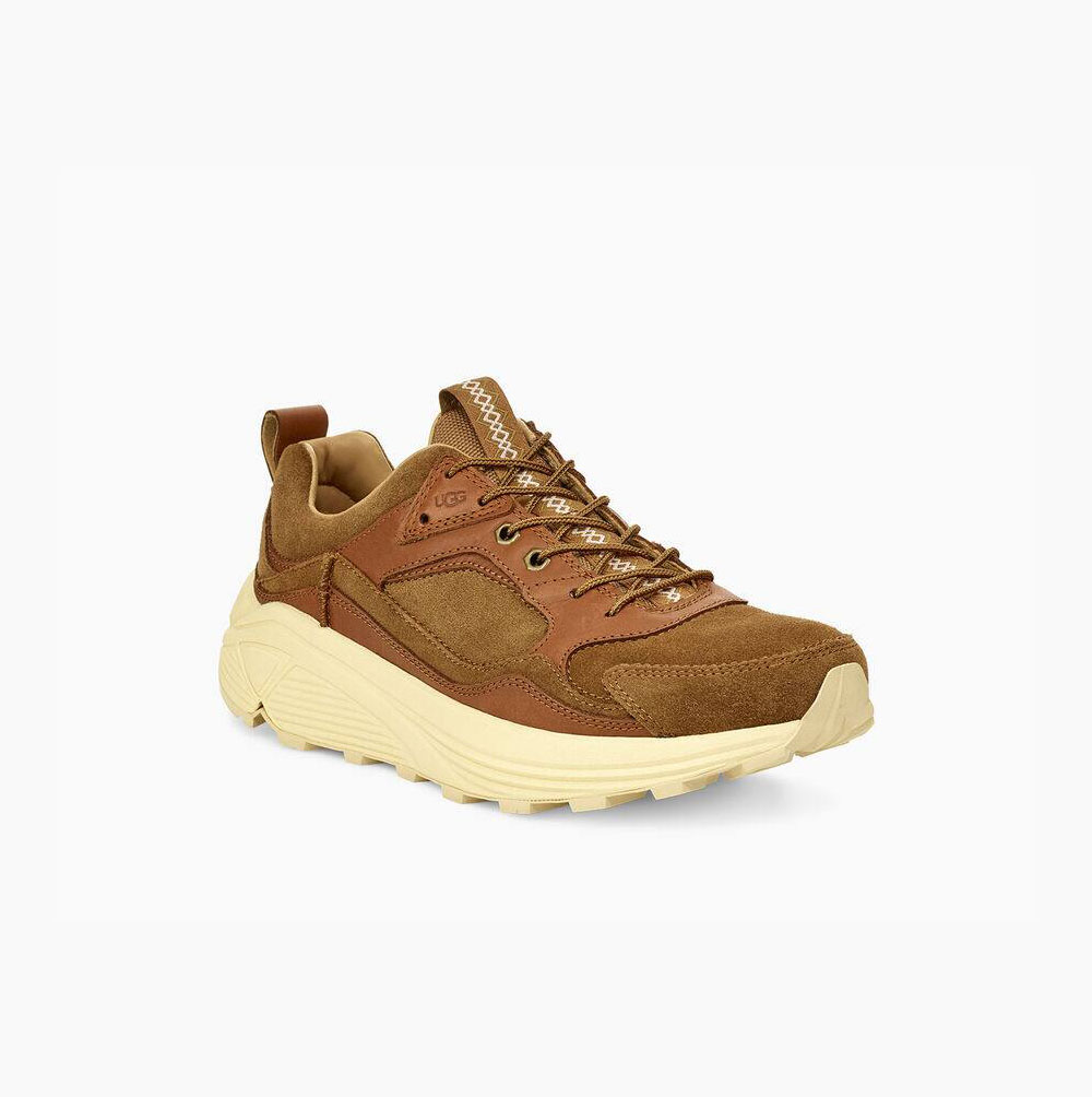 UGG Miwo Trainer Low - Joggesko Herre - Brune (NO-W943)